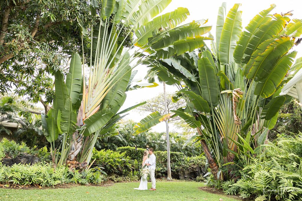 Where To Stay On The Big Island